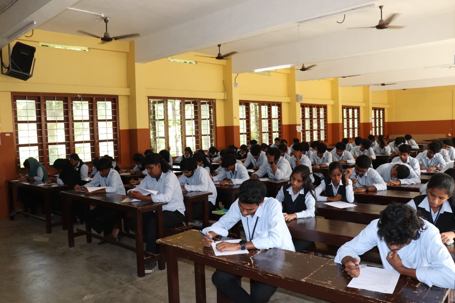 WhatsApp Image 2026-02-12 at 11.02.33 AM